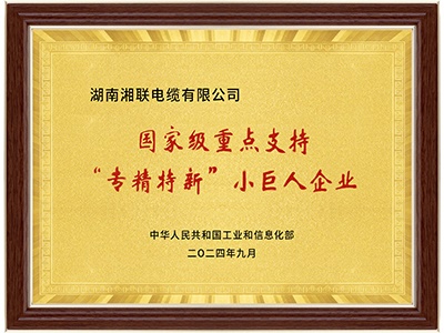 國(guó)家級(jí)專精特新“小巨人”企業(yè)